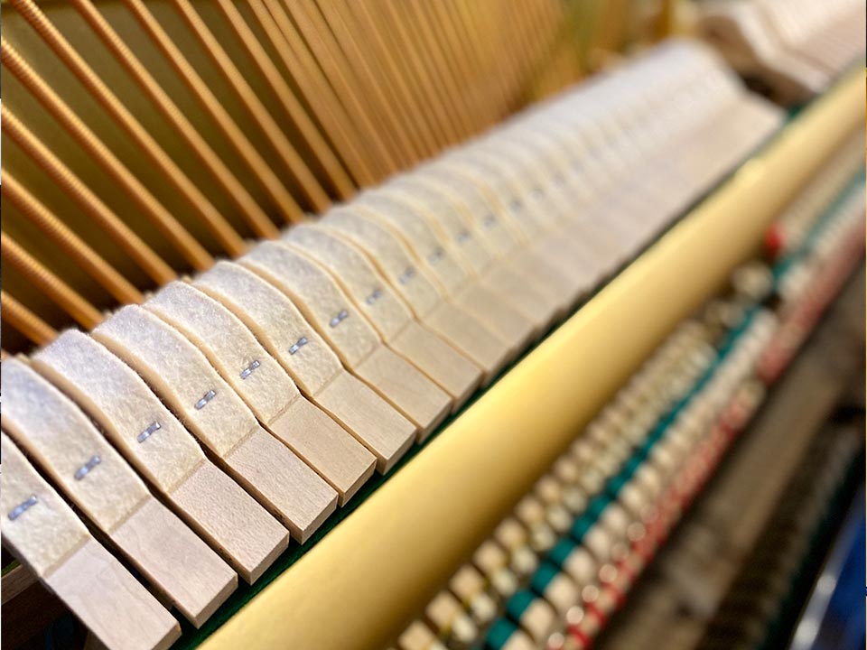 Hình ảnh chi tiết YAMAHA YU3 góc chụp 2