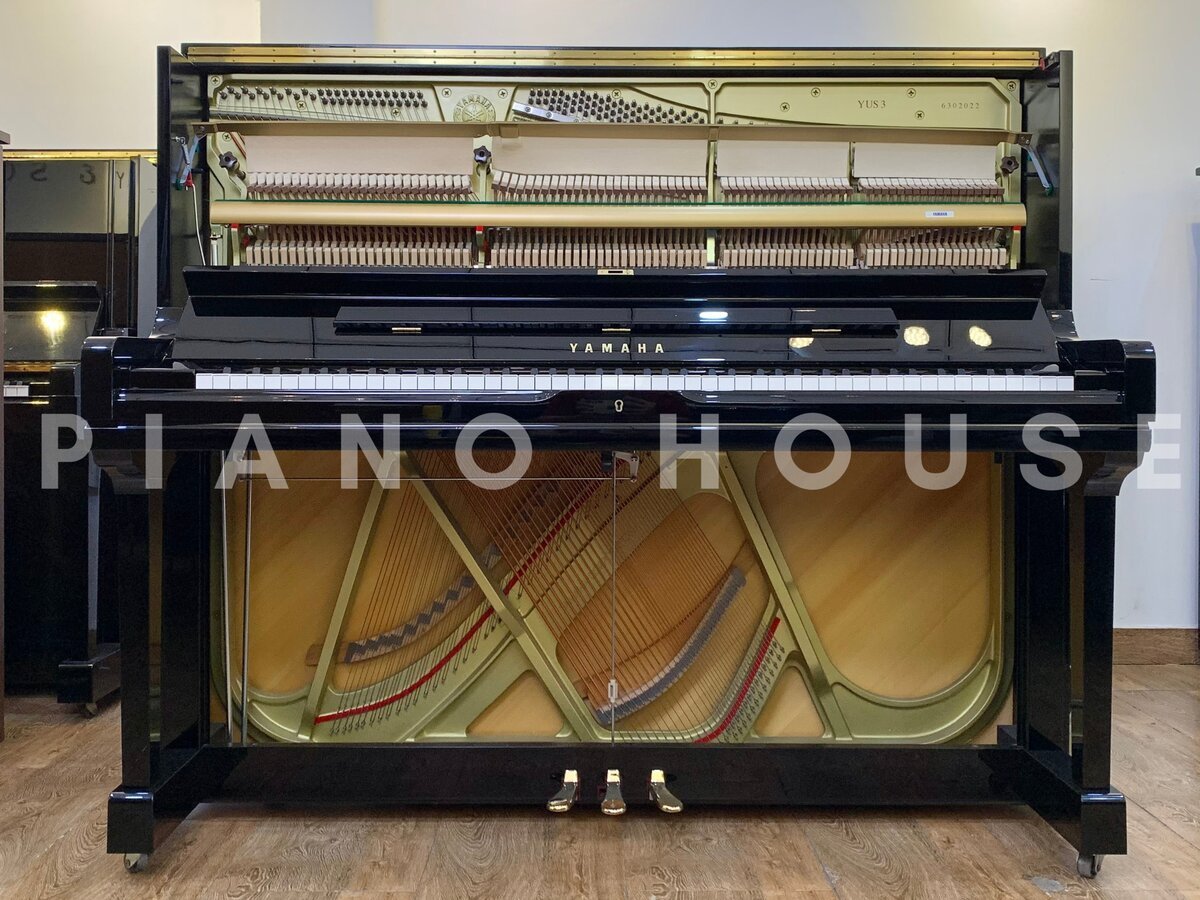 Hình ảnh chi tiết YAMAHA YUS3 PE góc chụp 2
