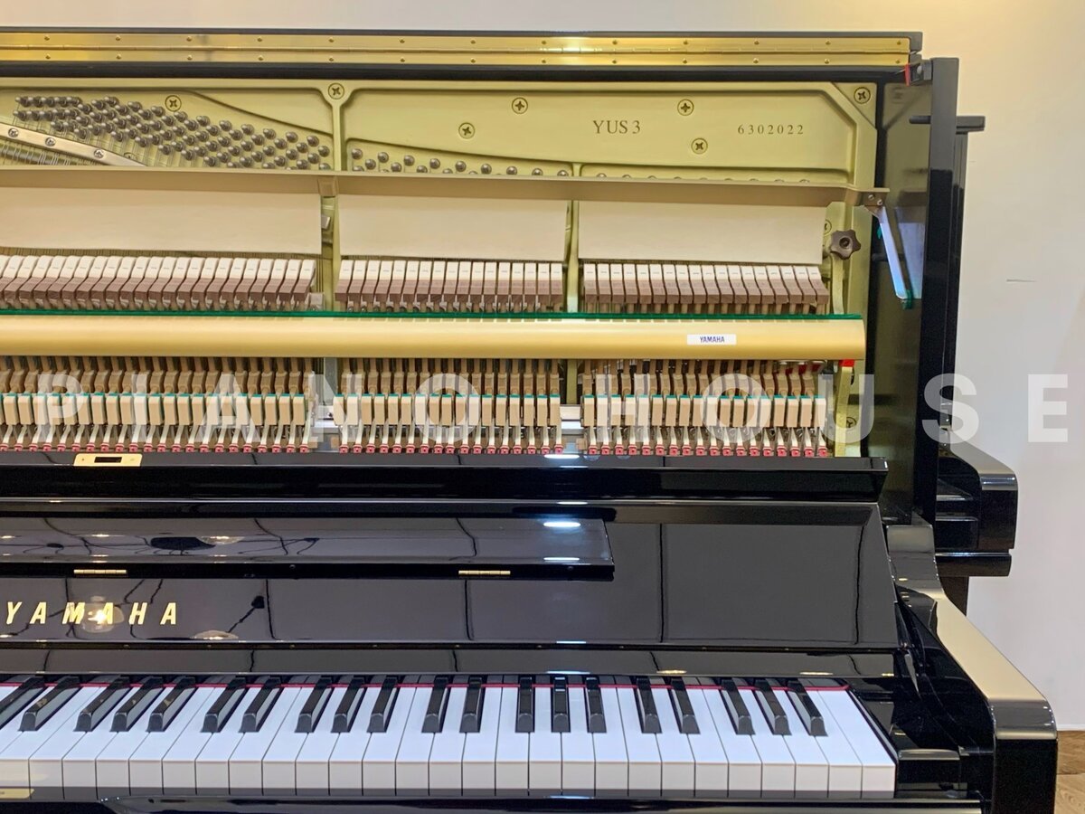 YAMAHA YUS3 PE - Ảnh thực tế 3