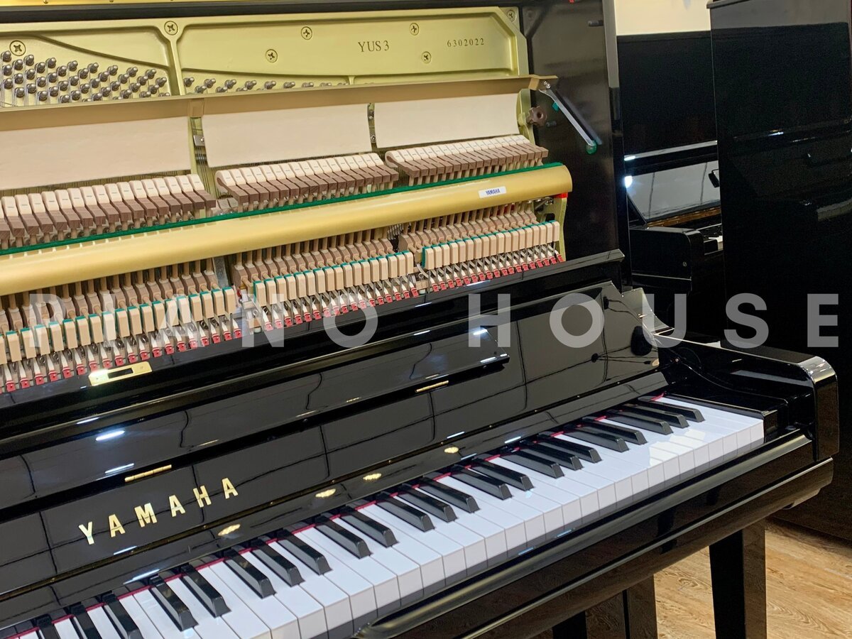 Chi tiết đàn YAMAHA YUS3 PE - Hình 4