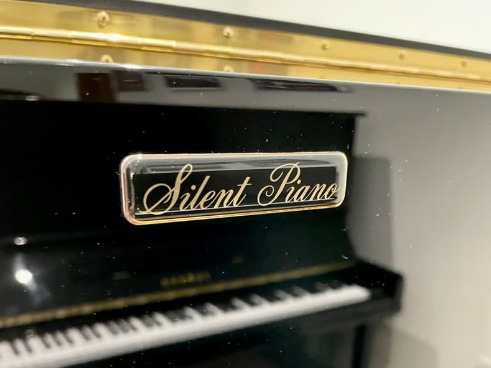 YAMAHA YS30 SB Silent - Ảnh thực tế 3